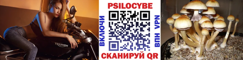 Псилоцибиновые грибы Psilocybe  как найти закладки  Олёкминск 